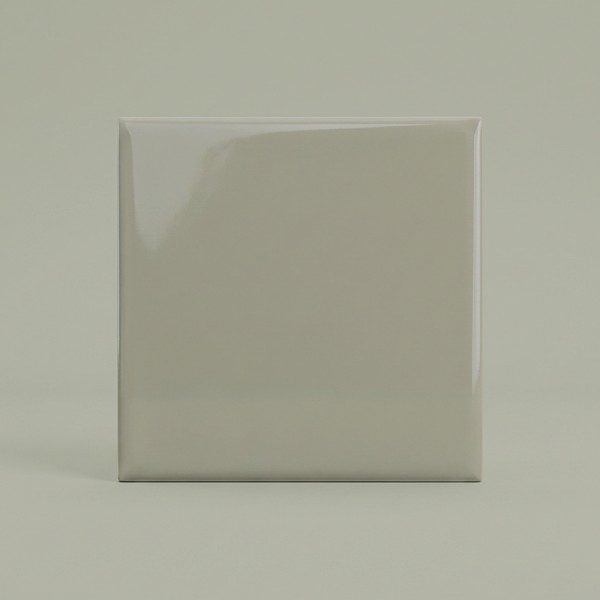 Pure Salvia Brillo 10x10